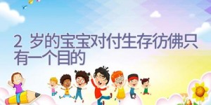 2岁的宝宝对付生存彷佛只有一个目的