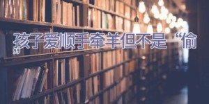 孩子爱顺手牵羊 但不是“偷”