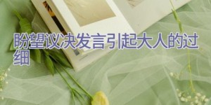 盼望议决发言引起大人的过细