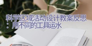 科学区域活动设计教案反思：用不同的工具运水