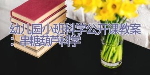 幼儿园小班科学公开课教案：串糖葫芦（科学）