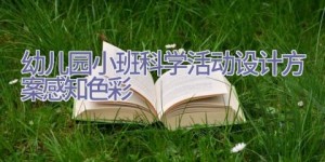 幼儿园小班科学活动设计方案感知色彩