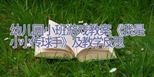 幼儿园小班游戏教案《我是小小传球手》及教学反思