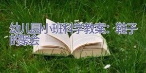 幼儿园小班科学教案：鞋子的聚会