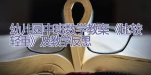 幼儿园中班数学教案《比较轻重》及教学反思