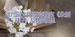 幼儿园大班语言教案《永别了，袜子》及教学反思