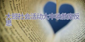 大班社会活动大丰收教案反思