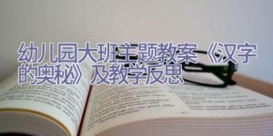 幼儿园大班主题教案《汉字的奥秘》及教学反思