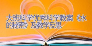 大班科学优秀科学教案《水的秘密》及教学反思