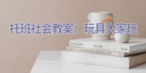 托班社会教案：玩具大家玩