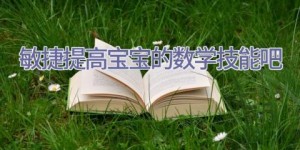 敏捷提高宝宝的数学技能吧!