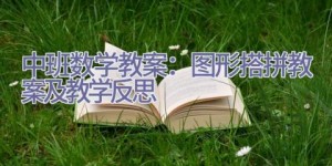 中班数学教案：图形搭拼教案及教学反思