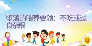 堕落的喂养要领：不吃或过食杂粮