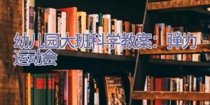 幼儿园大班科学教案：弹力运动会