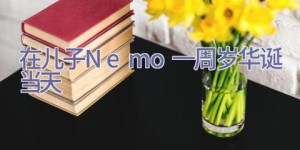 在儿子Nemo一周岁华诞当天