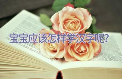 宝宝应该怎样学汉字呢？