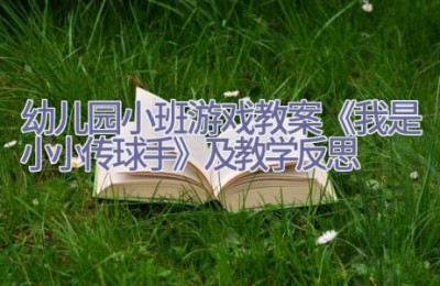 幼儿园小班游戏教案《我是小小传球手》及教学反思