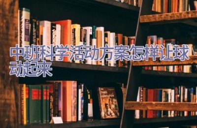 中班科学活动方案怎样让球动起来