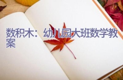 数积木：幼儿园大班数学教案