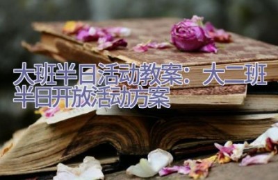 大班半日活动教案：大二班半日开放活动方案