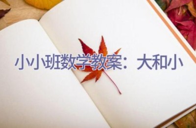 小小班数学教案：大和小