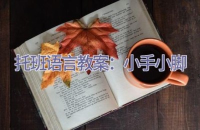 托班语言教案：小手小脚